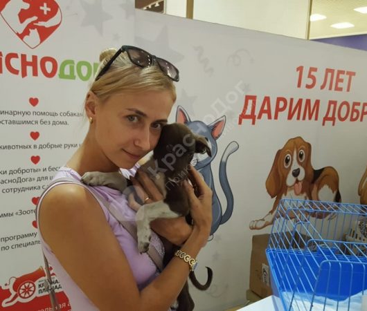 Комсомолка